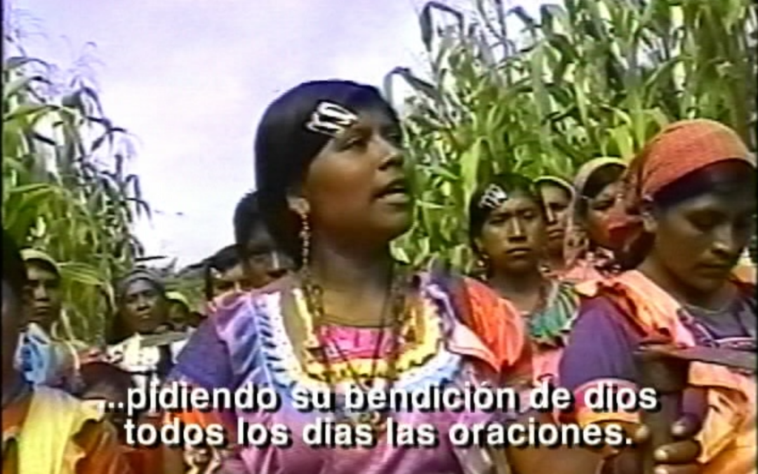 Mujeres Unidas (Tseltal / Esp subt), Feliciano Entrevista (Esp), El curandero de los pueblos indígenas de los Altos, Chiapas. (Tzotzil Esp Subt) DV Copy – 1999.40.DV