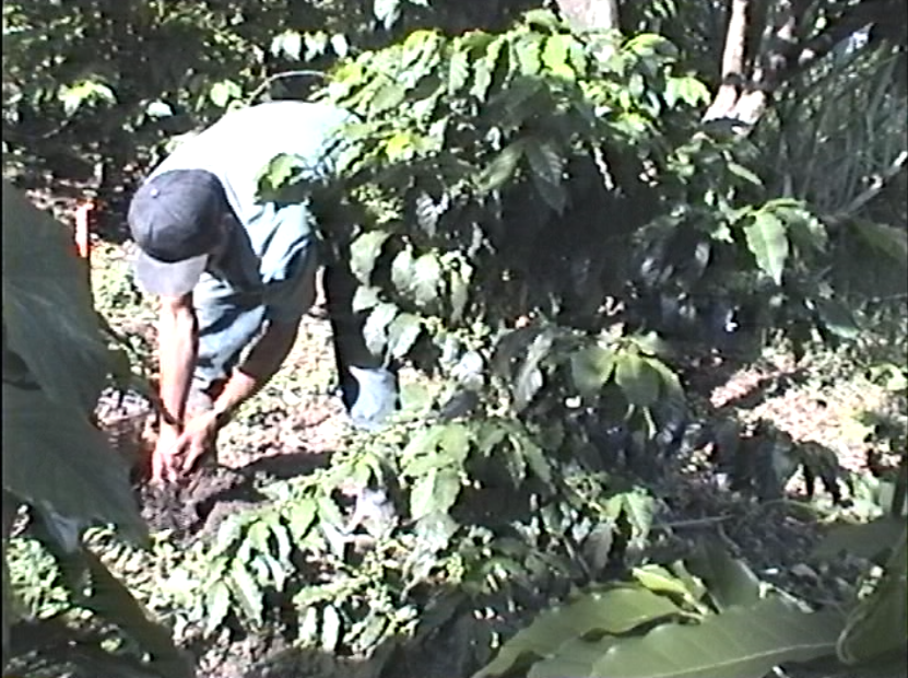 El esfuerzo de los indigenas de Mut-Vitz (Generico) – 2000.107.DV