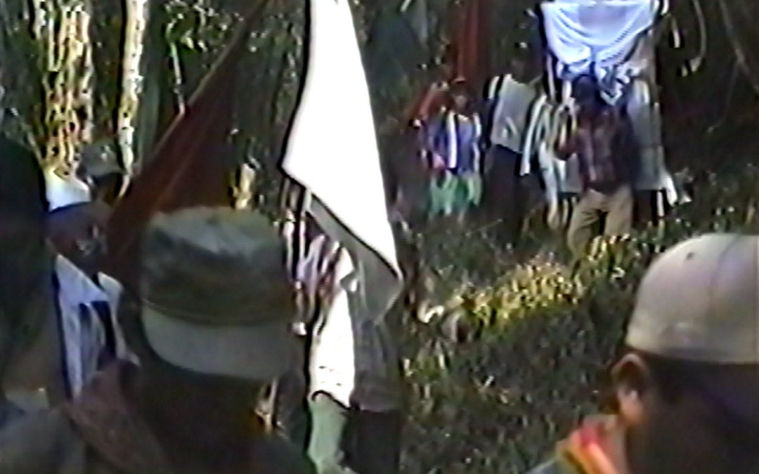 PRIMER CORTE Virgen de Guadalupe Mayo 2000 – 2000.50.DV