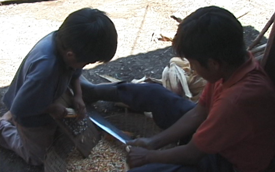 FIDE: San Jose del Carmen – 2000.59.DV