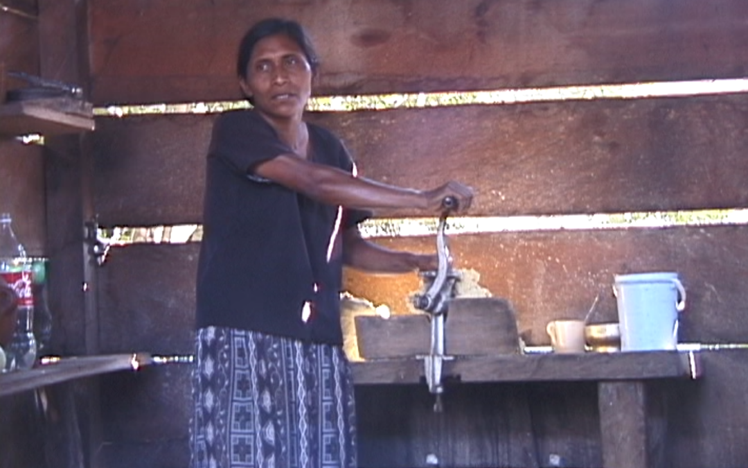 FIDE: San Jose del Carmen – 2000.61.DV