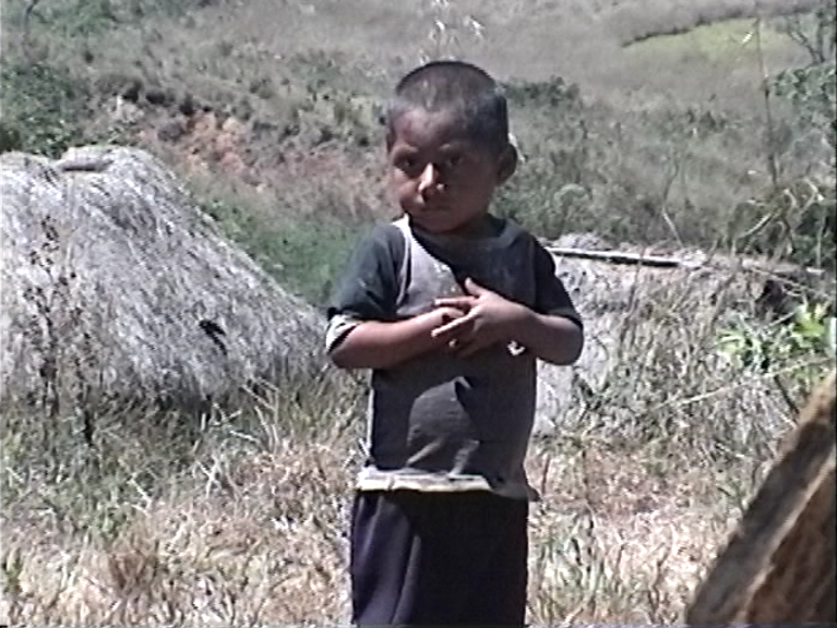 FIDE: Transfers de Hi 8 – 2000.82.DV