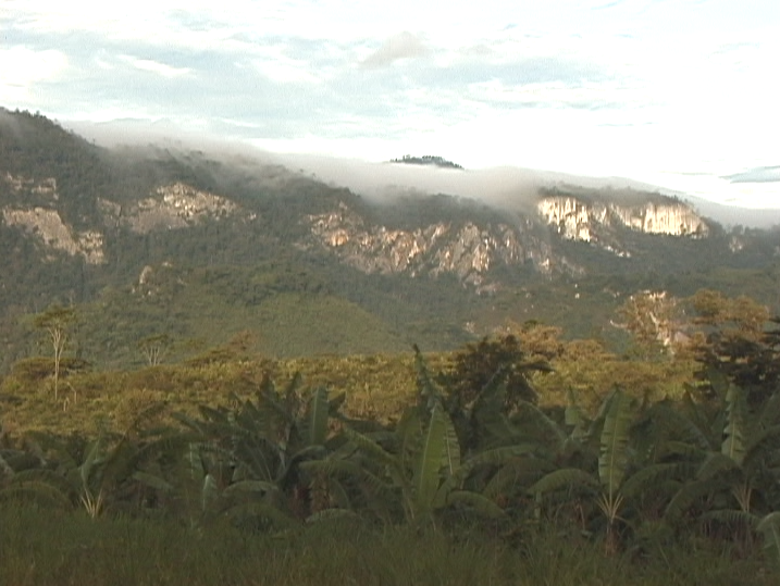 La Tierra Sagrada (Generico) – 2000.90.DV