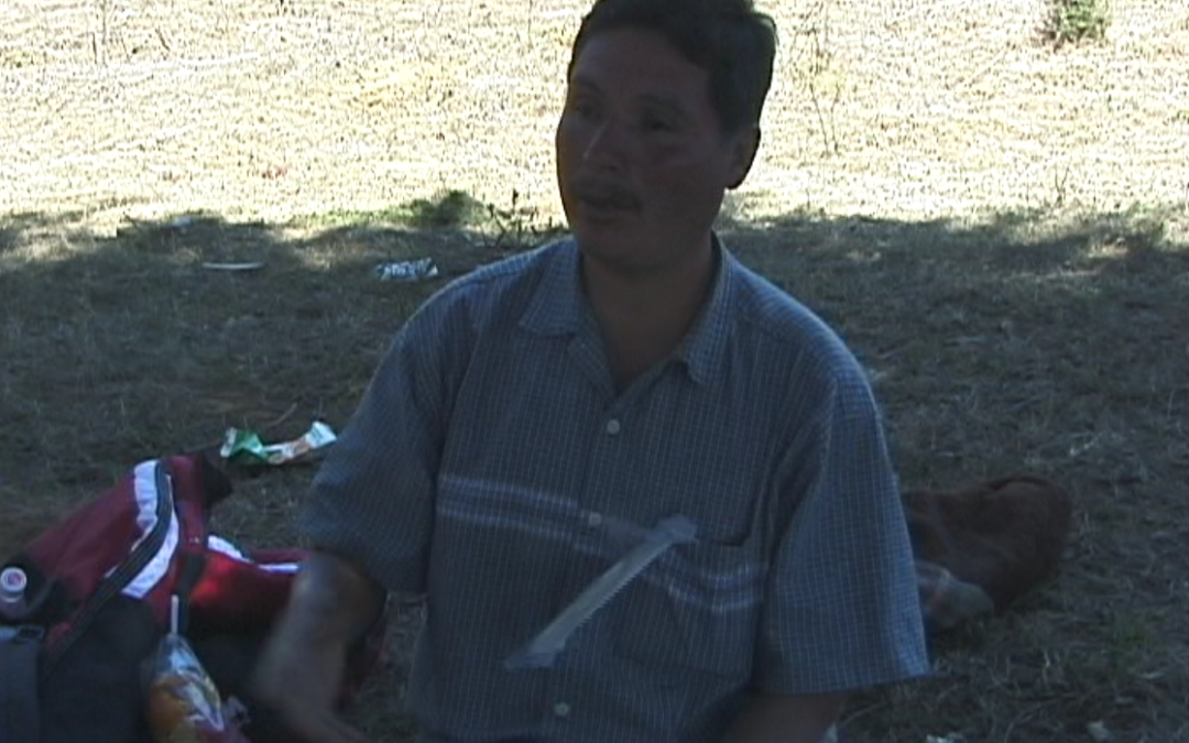 Marcha de Color de la Tierra. 12 Nurio Entrevistas – 2001.59.DV