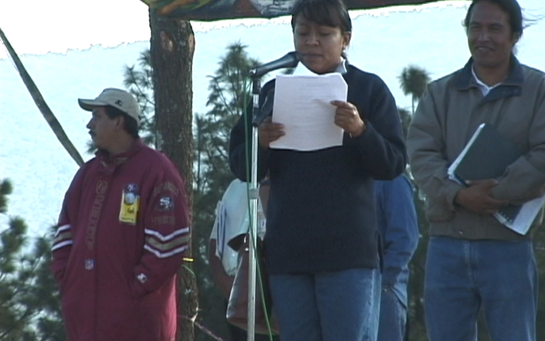Marcha de Color de la Tierra. 13 Nurio Resolutivos CNI – 2001.60.DV