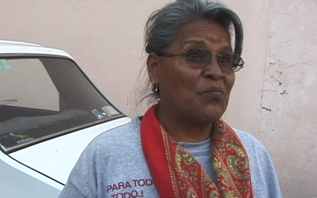 Marcha de Color de la Tierra. 18 Tepostlan – 2001.65.DV