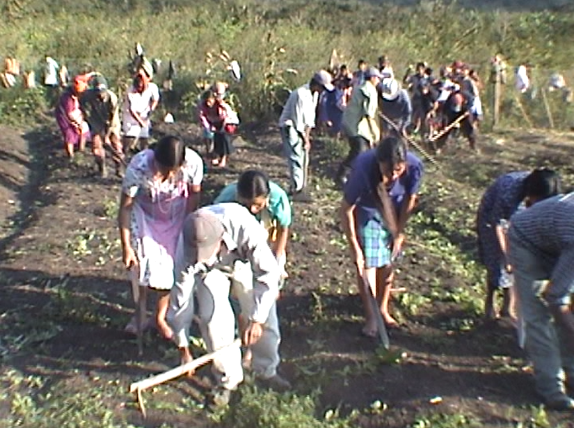 El Huerto de Zapata (Generico y Español) – 2002.42.DV