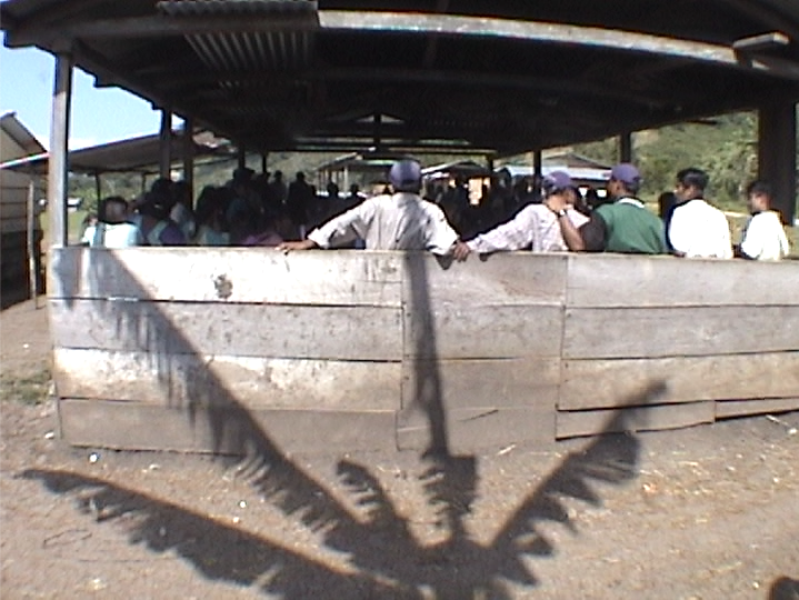 Huerto de Zapata 19.02.02 (Entrevistas y Hortaliza) – 2002.47.D8