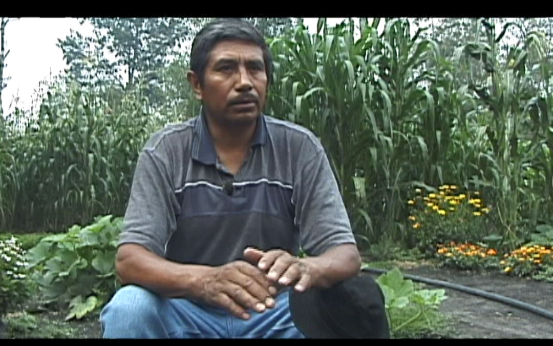 Entrevista Seguimiento en Xochimilco 2003 – 2003.126.DV