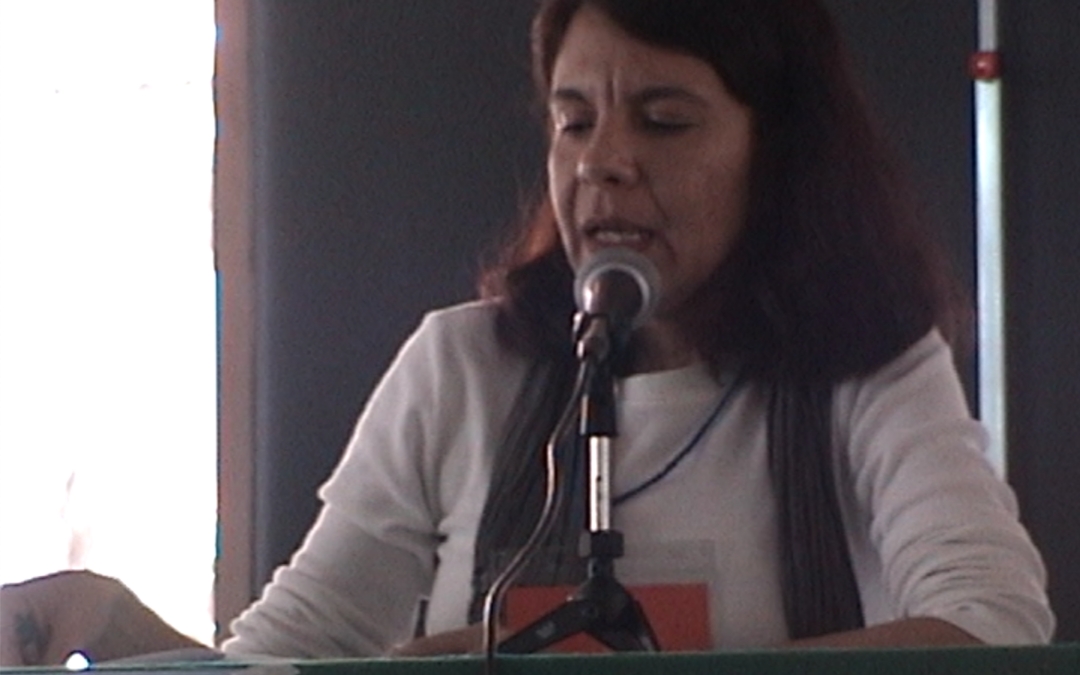 Foro Militarización (Conferencias,Entrevistas) – 2003.23.D8