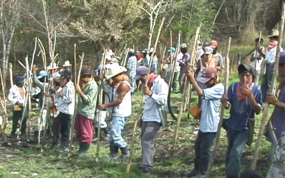 vida Mujer Resistencia: Región Mango 9 – 2004.21.DV