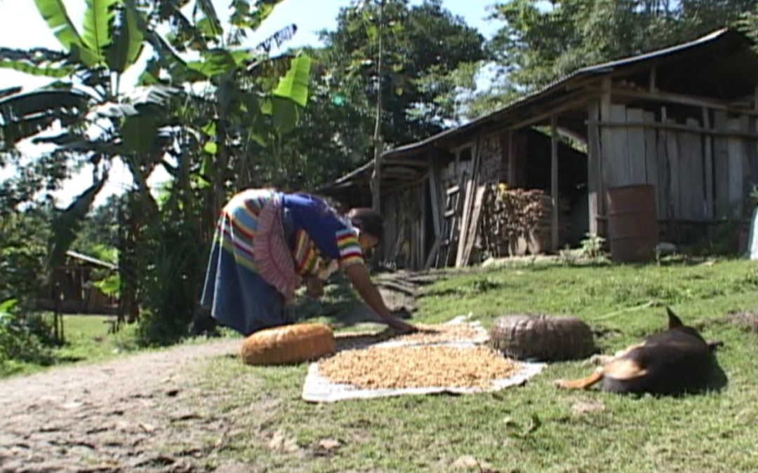 CCRAZ: La Garrucha, Zapata, 24 Noviembre 2005 (14) – 2005.119.DV