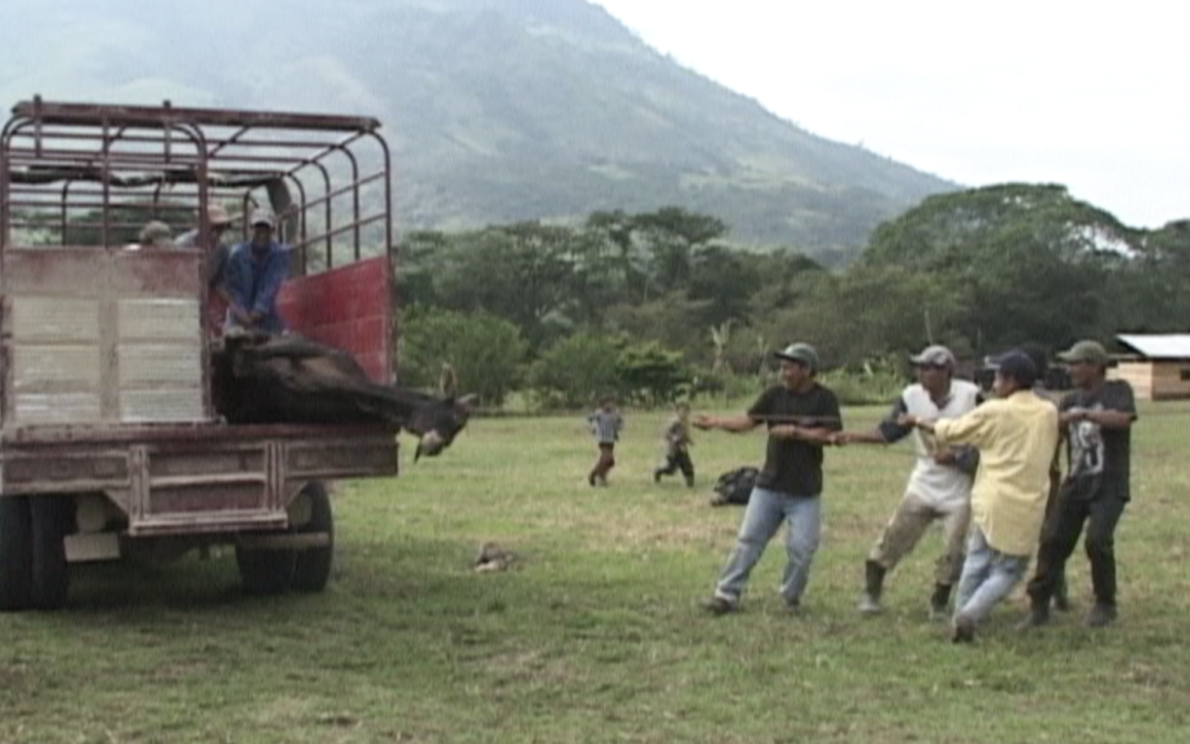 CCRAZ: La Garrucha, Zapata, 30 Noviembre 2005 (22) – 2005.127.DV