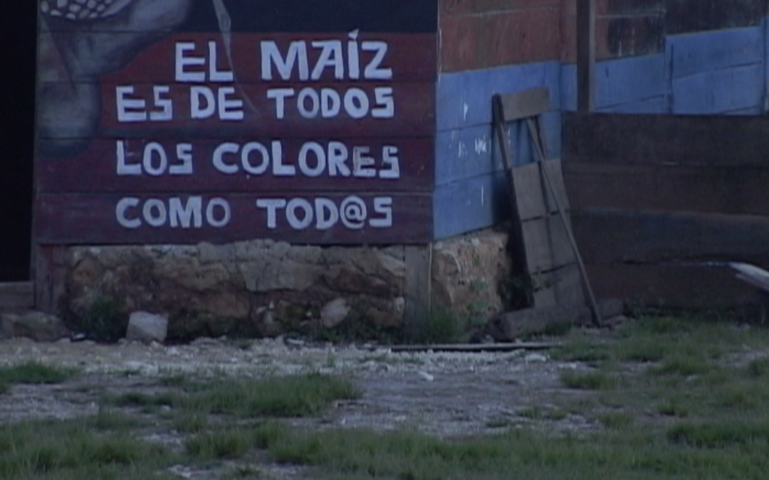 Primera Plenaria de la Otra Campaña 17.09.05 – 2005.56.DV