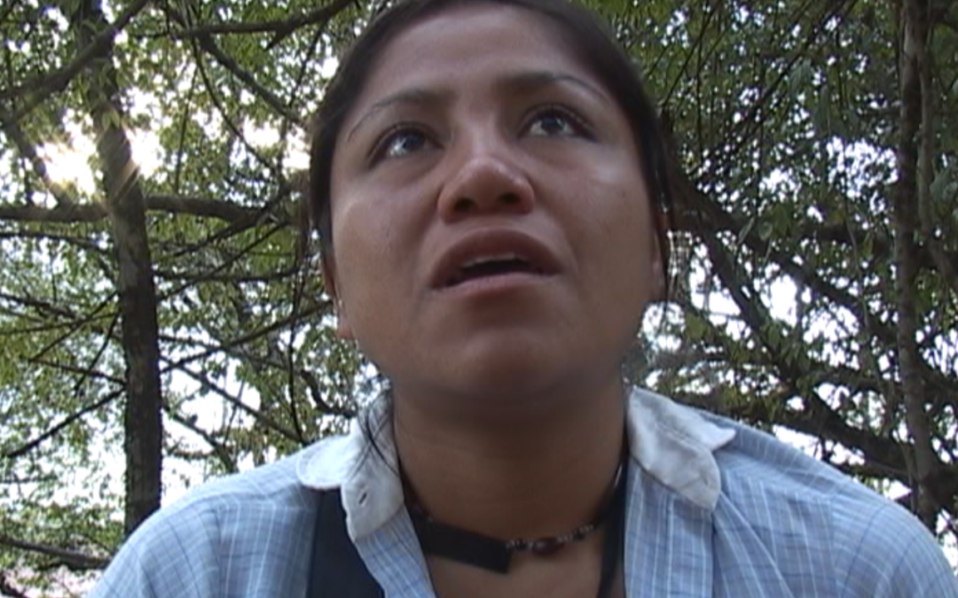 Otra Campaña: 02.01.06 Don Bosco – 2006.12.DV