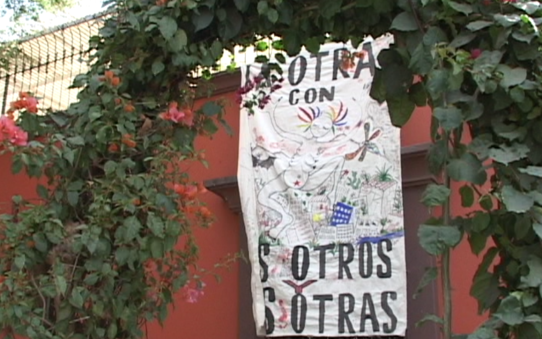 Otra Campaña: Oaxaca – Nico 35 – 2006.149.DV