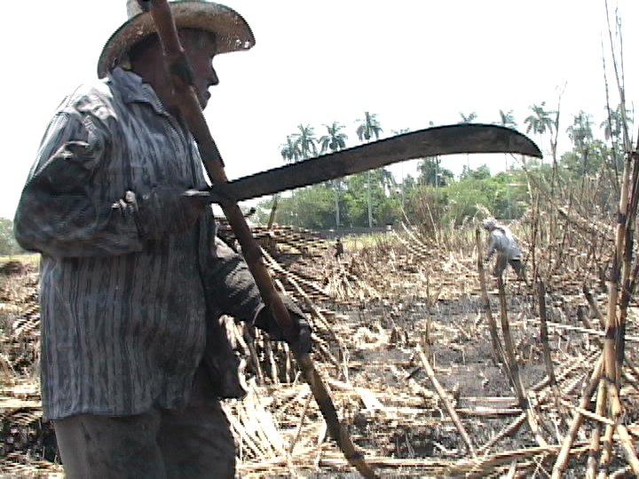 Otra Campaña: Los Cañeros – Morelos – Nico 86 – 2006.195.DV