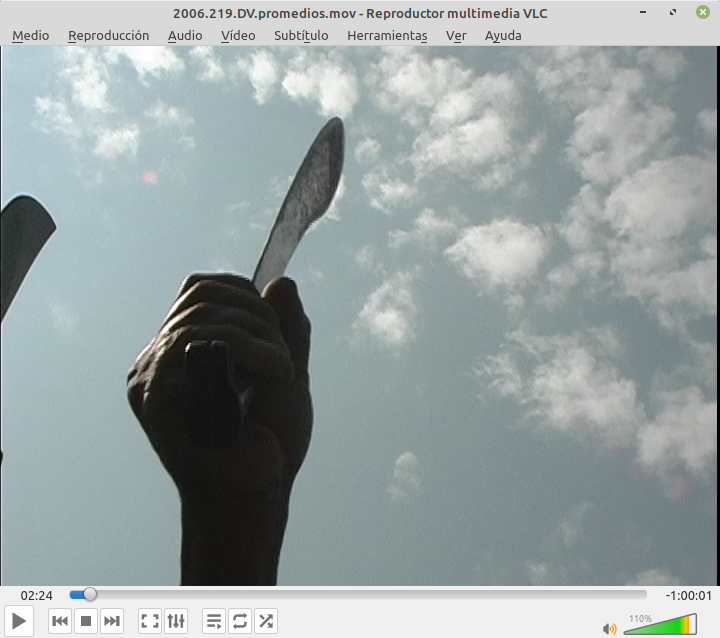 Otra Campaña: Marcha – Carlos – 2006.219.DV