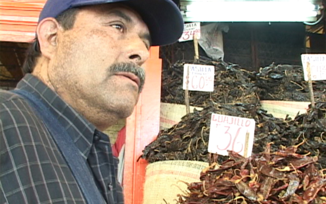 Otra Campaña: La Merced / PGR / Zocalo – 2006.258.DV