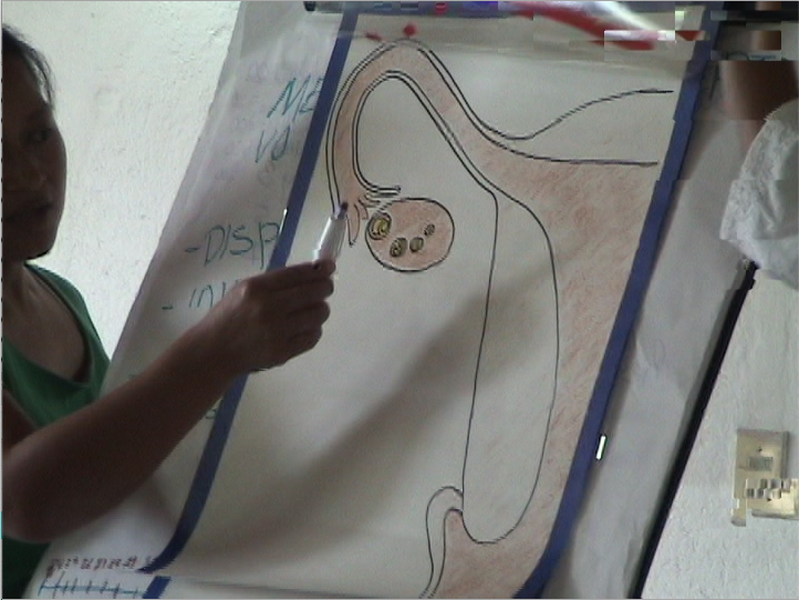 Servicio de Salud Autónoma: San Miguel 24 27 enero – 2006.33.DV