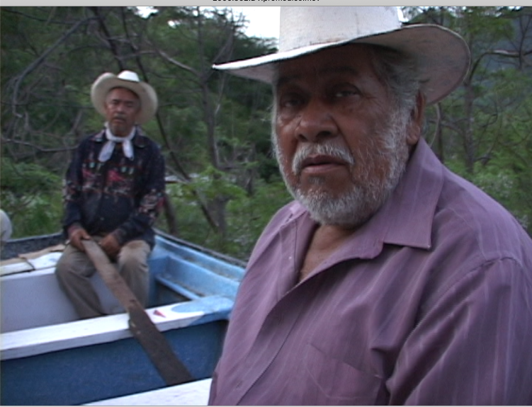 Otra Campaña: Ciruelo Nayarit 02 – 2006.352.DV