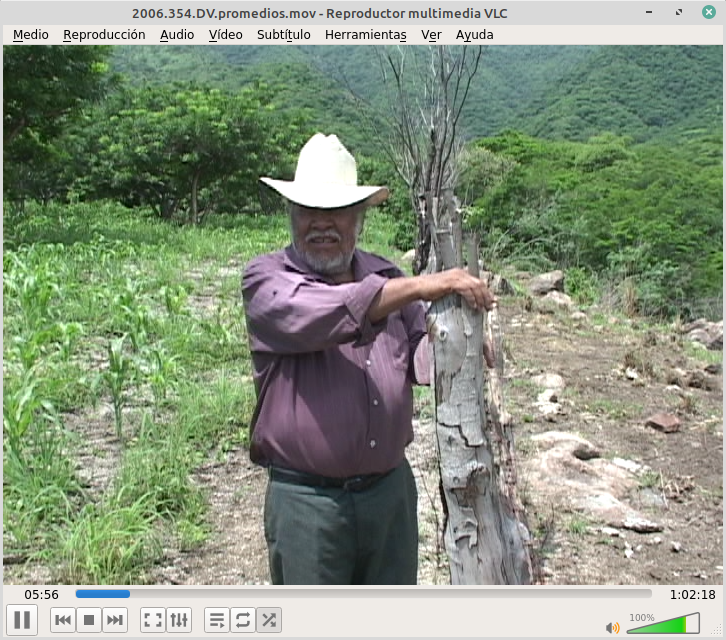 Otra Campaña: Ciruelo Nayarit 04 – 2006.354.DV