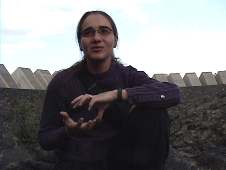 Memoria Promedios: Adriana 28.02.2004 – 2006.70.DV