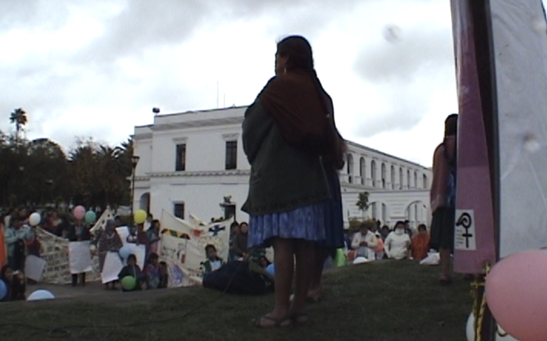 Marcha en contra la violencia hacia las mujeres (2) 25 Noviembnre 2008 – 2008.18.DV